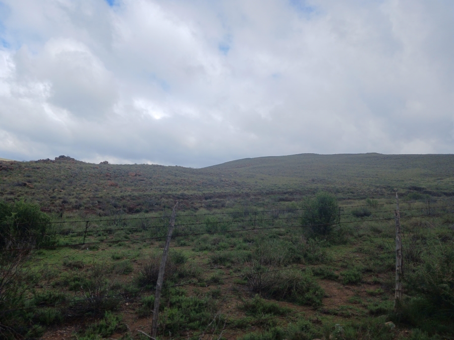 0 Bedroom Property for Sale in Richmond Rural Northern Cape